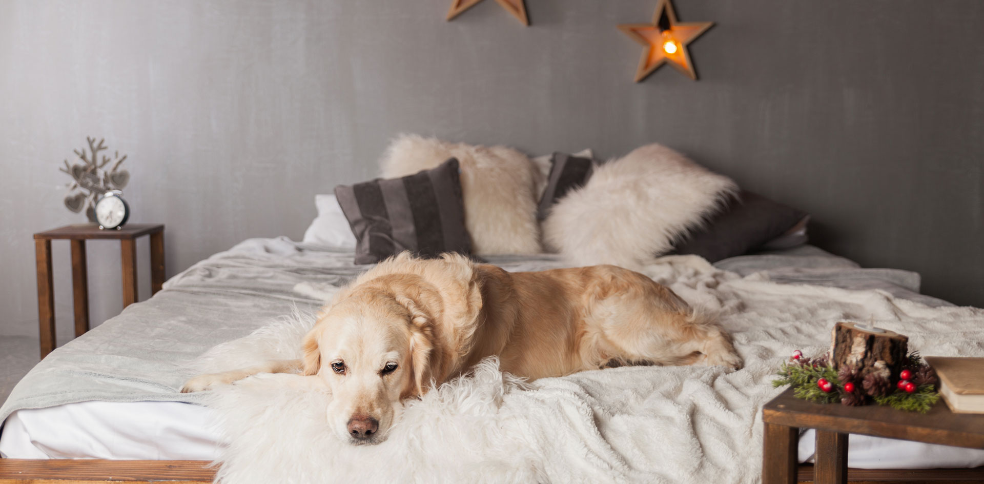 condo a louer Lévis 4 1 2 Décoration saisonnière à L'ALLIÉ : idées pour passer un hiver chaleureux dans votre condo